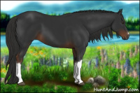 Horse Color:Gray Liver Chestnut