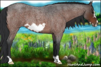 Horse Color:Brown Roan Frame