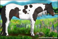 Horse Color:Gray Brown Tobiano 