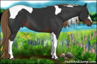 Horse Color:Gray Liver Chestnut Tobiano 