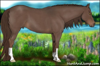Horse Color:Liver Red Roan 