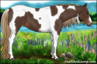 Horse Color:Gray Chestnut Tobiano Varnish 
