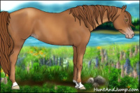 Horse Color:Gray Gold Champagne