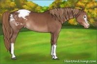 Horse Color:White Spotted Liver Chestnut Varnish 