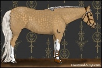 Horse Color:Silver Smoky Black 