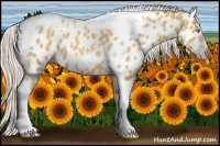 Horse Color:Gray Silver Amber Cream Champagne Roan Dun Splash Tobiano Frame Near Leopard Rabicano 