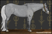 Horse Color:Silver Grullo Chinchilla 