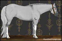 Horse Color:Silver Grullo Chinchilla