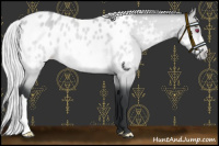 Horse Color:Silver Bay Chinchilla Dun Appaloosa