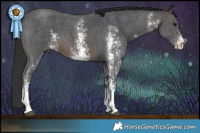 Horse Color:Brown Sabino