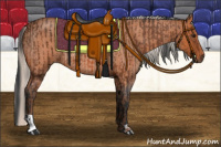 Horse Color:Bay Rabicano  and Silver Bay Roan Rabicano 