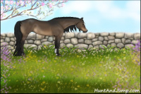 Horse Color:Gray Brown Dun Sabino Rabicano 