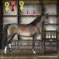 Horse Color:Brown Sabino
