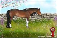 Horse Color:Gray Brown Sabino Tobiano