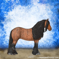 Horse Color:Bay Roan  and Bay Roan 