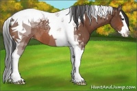 Horse Color:Brown Splash Tobiano Varnish