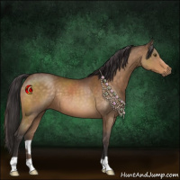 Horse Color:Buckskin Mushroom 