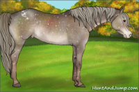 Horse Color:Liver Chestnut Mushroom Snowflake Varnish