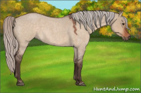 Horse Color:Silver Brown Roan Dun 