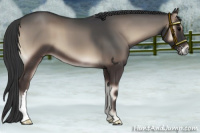 Horse Color:Blue Onyx