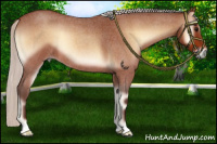 Horse Color:Silver Bay Roan Onyx 