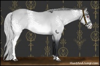 Horse Color:White Spotted Silver Bay Chinchilla Roan