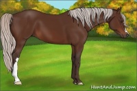 Horse Color:Silver Brown 