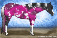 Horse Color:White Spotted Black 