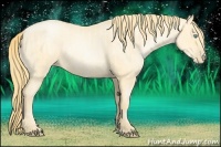 Horse Color:Buckskin Roan Pearl  and Buckskin Roan Pearl 