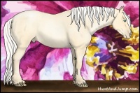 Horse Color:Silver Buckskin Roan Pearl  and Silver Buckskin Roan Pearl 
