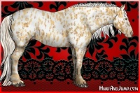 Horse Color:Palomino Appaloosa  and Palomino Appaloosa 