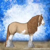 Horse Color:Red Dun Roan Splash Frame Rabicano