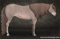 Horse Color:Platinum Red Roan 