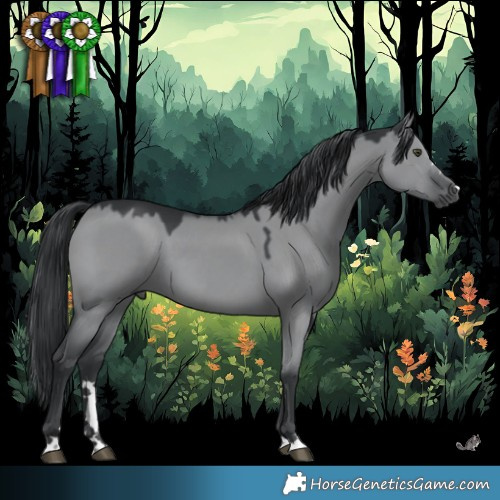 Horse Color:Grullo Chinchilla 