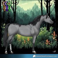 Horse Color:Grullo Chinchilla 