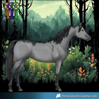 Horse Color:Grullo Chinchilla 