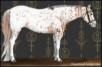 Horse Color:Bay Splash Tobiano Appaloosa  and Bay Splash Tobiano Appaloosa 