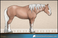 Horse Color:White Spotted Gold Champagne Mushroom 