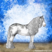Horse Color:Silver Brown Chinchilla Ice Sabino Splash Frame
