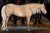 Horse Color:Silver Amber Champagne Frame 