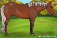 Horse Color:Silver Bay