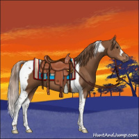 Horse Color:Chestnut Tobiano