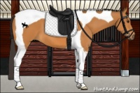 Horse Color:Buckskin Tobiano