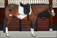 Horse Color:Brown Frame 