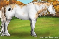 Horse Color:Chestnut Splash Frame  and Palomino Splash Frame 