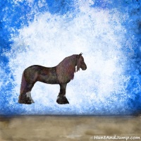 Horse Color:Nacre Chocolate Black Ice Sabino Rabicano