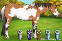 Horse Color:White Spotted Buckskin Frame 