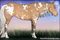 Horse Color:Gray White Spotted Silver Perlino Varnish 