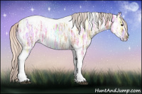 Horse Color:Silver Brown Ice Tobiano