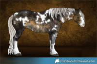 Horse Color:White Spotted Silver Buckskin Ice Sabino Splash 